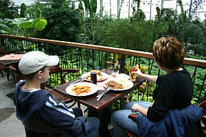 Restaurant in der Biosphäre