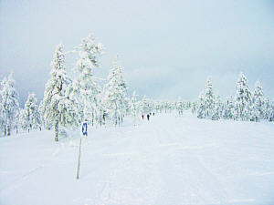 Loipen am Fichtelberg